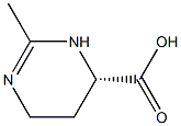氨基怎么变成乙酰氨基